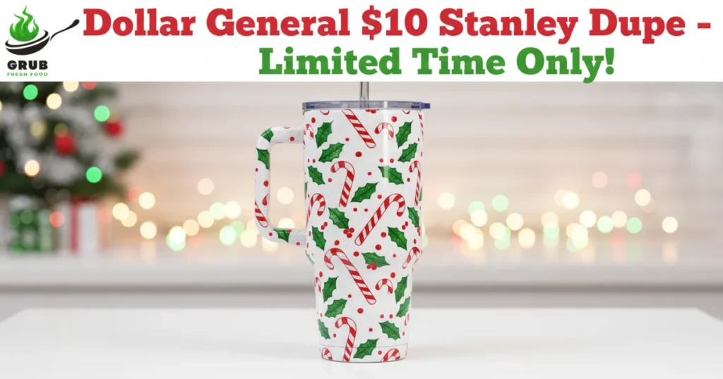 Dollar General $10 Stanley tumbler dupe with festive Dolly Parton holiday design and promotional text.