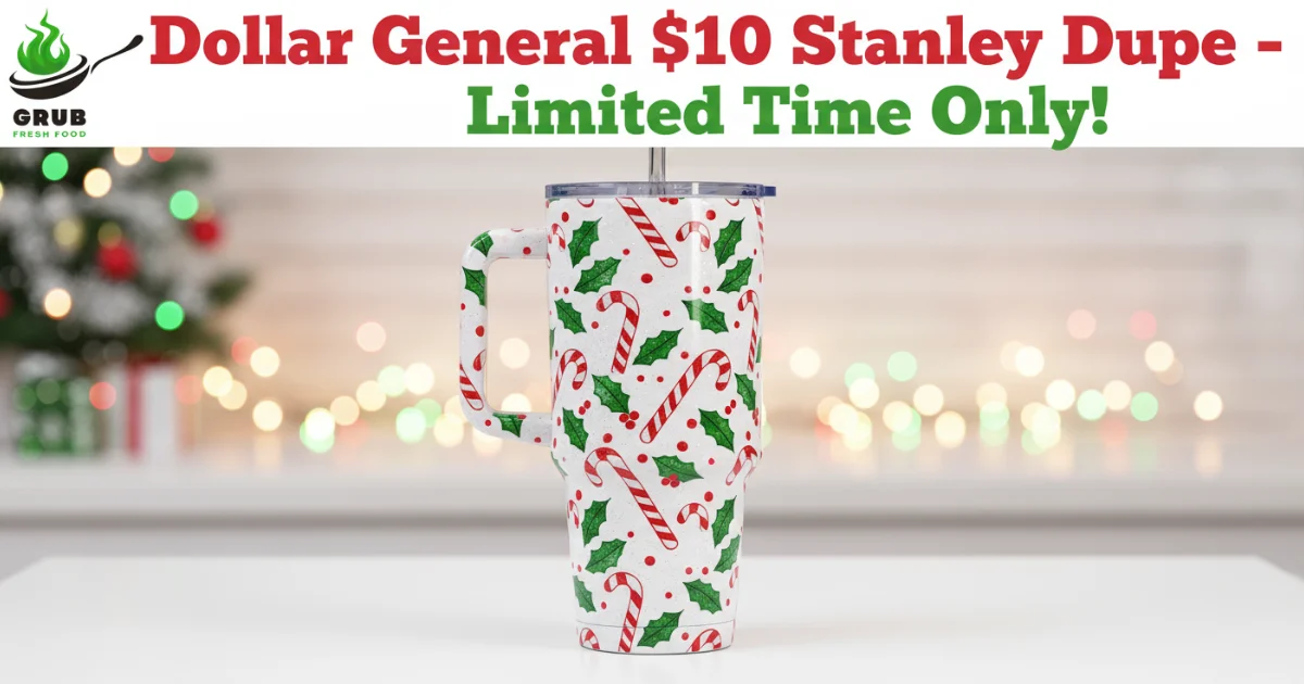 Dollar General $10 Stanley tumbler dupe with festive Dolly Parton holiday design and promotional text.